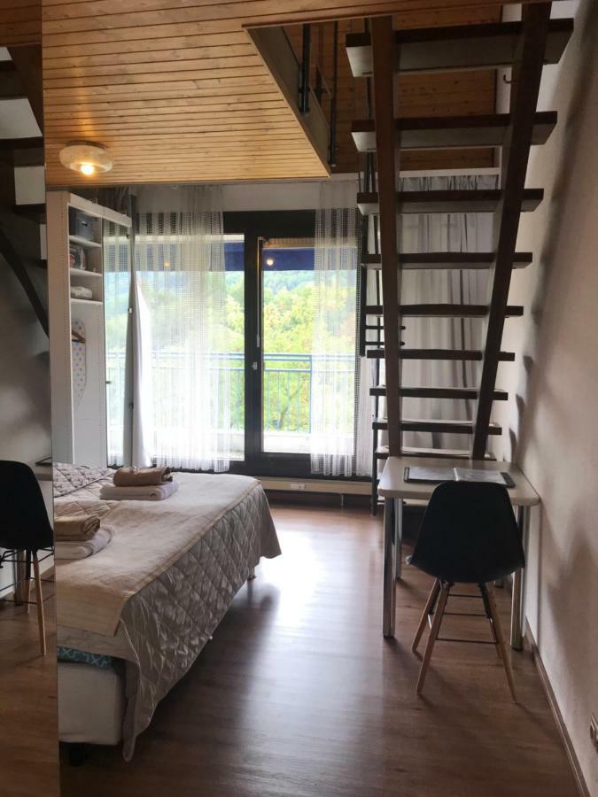 Bames Badurach Metzingen Stuttgart Apartment Бад Урах Екстериор снимка